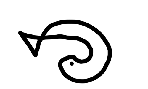 Kreiselfisch